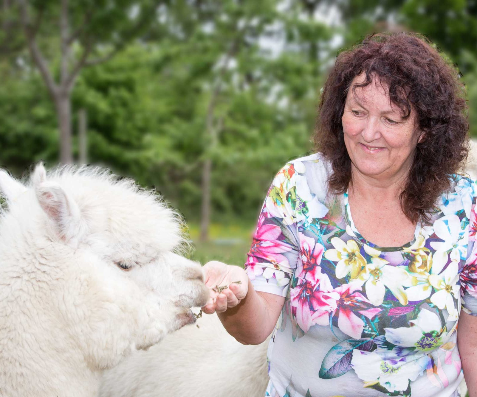 Monika Rekelhof - Tierheilpraktikerin