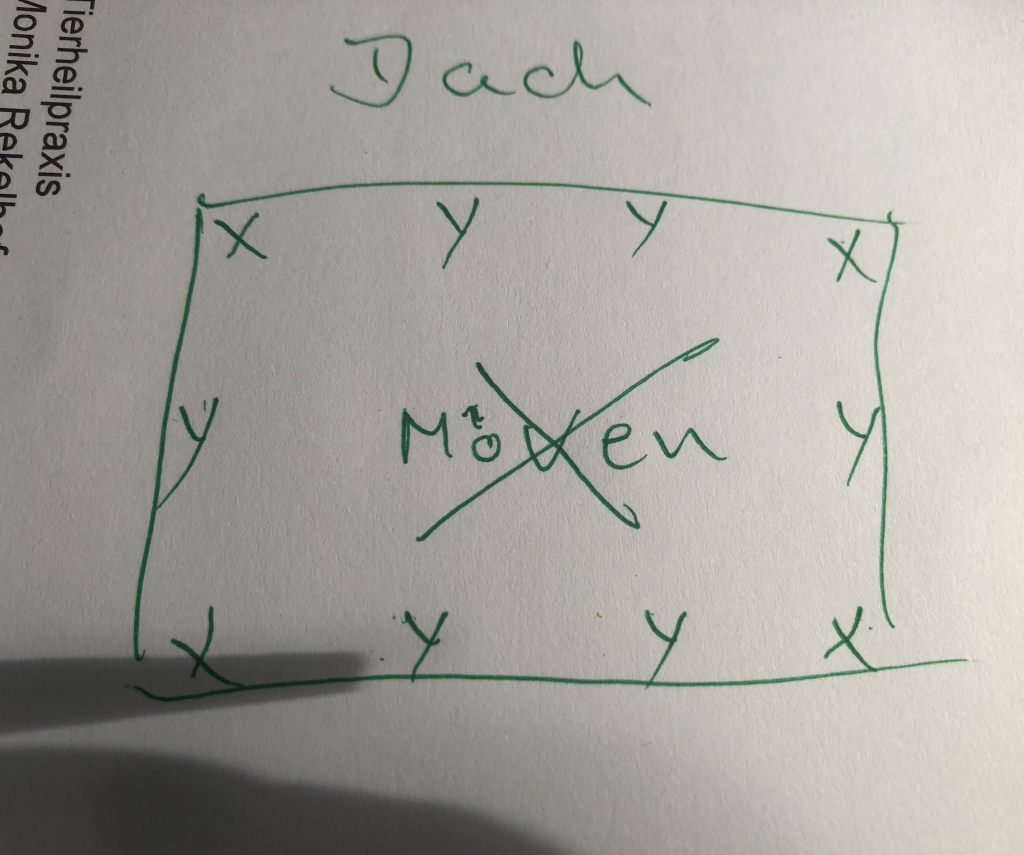 Einsatzmöglichkeiten der Tierkommunikation