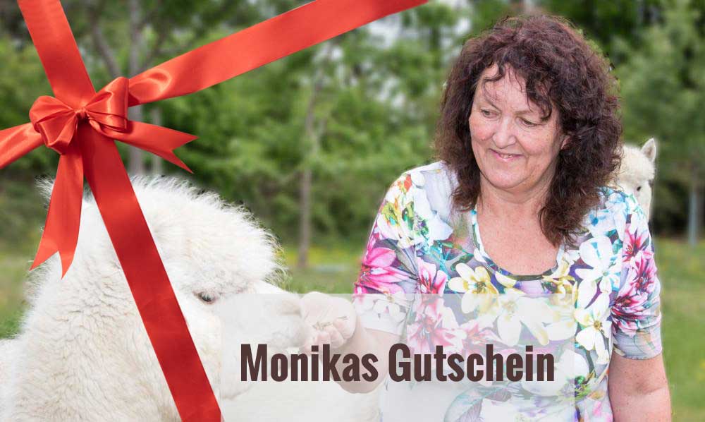 Tierheilpraxis am Niederrhein - Monika Rekelhof